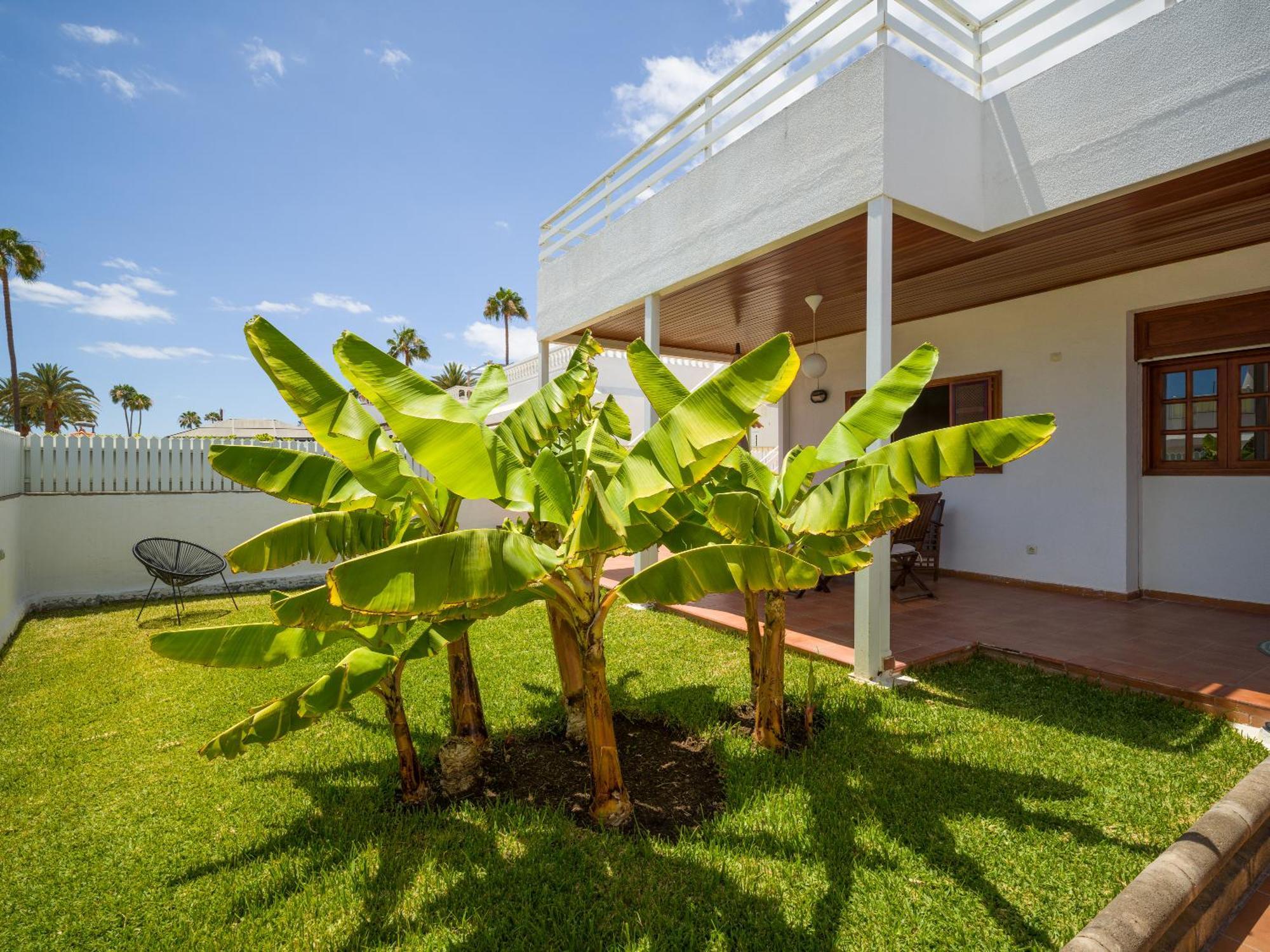 Banana House In Top Location By Tenpropertiesgc Maspalomas  Extérieur photo